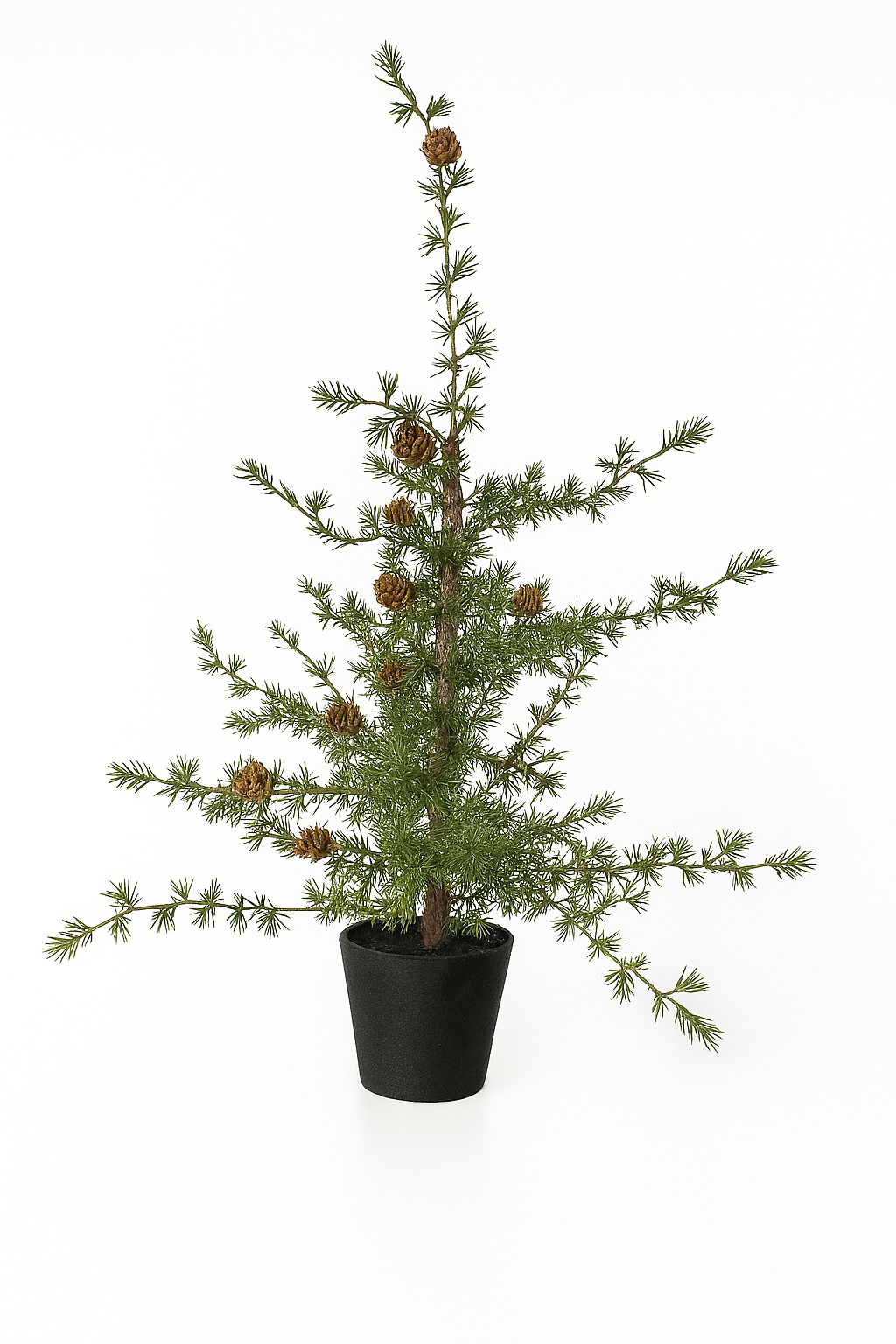 Kerstboompje