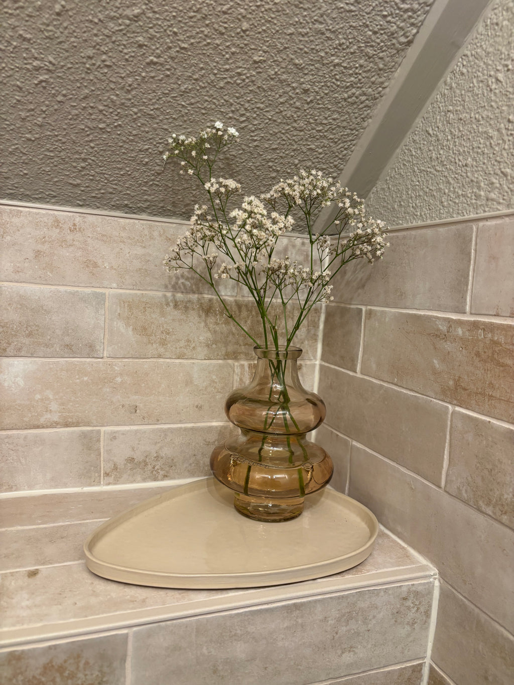 Keramieken organische schaal - middel